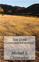 Ever Conscious Crystal