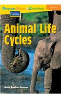 Animal Life Cycles