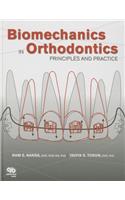 Biomechanics in Orthodontics: Principles and Practice