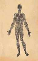 Anatomy Notebook