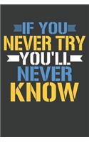 If You Never Try You'll Never Know