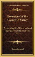 Excursions In The County Of Surrey: Comprising Brief Historical And Topographical Delineations (1821)