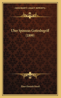 Uber Spinozas Gottesbegriff (1899)