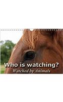 Who is Watching? - Watched by Animals! 2017