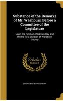 Substance of the Remarks of Mr. Washburn Before a Committee of the Legislature