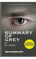 Summary of Grey: Fifty Shades of Grey as Told by Christian (Fifty Shades of Grey Series) - Finish Entire Novel in 15 Mi