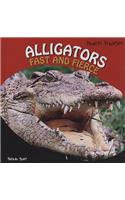 Alligators