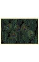 Note Card Feathers