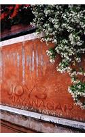 Joys of Jayanagar: (English)