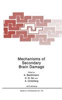 Mechanisms of Secondary Brain Damage