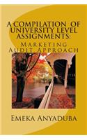 Compilation of University Level Assignments: Marketing Audit Approach