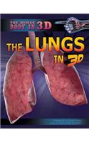 Lungs in 3D