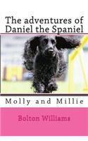 The adventures of Daniel the Spaniel