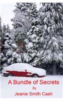 A Bundle Of Secrets