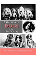 Gallery of Dogs in the 19th Century