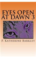 Eyes Open at Dawn 3