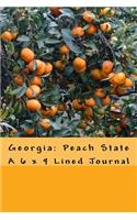 Georgia: Peach State: A 6 x 9 Lined Journal