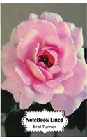 Notebook Lined Rose