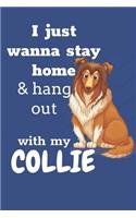 I just wanna stay home & hang out with my Collie