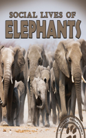 Social Lives of Elephants: (Animal Behaviors)
