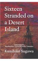 Sixteen Stranded on a Desert Island