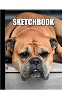 Sketchbook