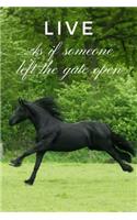 Live as If Someone Left the Gate Open