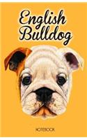 English Bulldog Notebook: Dog Lovers Gift, English Bulldog Orange Notepad with 100 Lined Pages