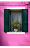 Cool Potted Plant in the Window in a Pink Wall Journal: 150 Page Lined Notebook/Diary