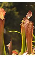 Carnivorous Plants Notebook