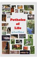 Potholes of Life