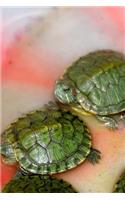 Silver Dollar Sized Turtles Journal: Take Notes, Write Down Memories in this 150 Page Lined Journal