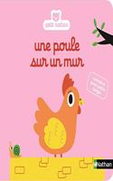 Un poule sur un mur