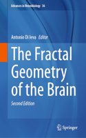 The Fractal Geometry of the Brain