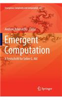 Emergent Computation: A Festschrift for Selim G. Akl(24 Emergence, Complexity and Computation)