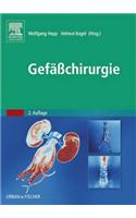 Gefäßchirurgie: (Monographie - Fachbuch - Urban & Fischer-Verlag)