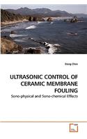 Ultrasonic Control of Ceramic Membrane Fouling