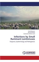 Infections by Small Ruminant Lentiviruses
