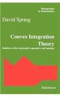 Convex Integration Theory