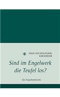 Sind im Engelwerk die Teufel los?