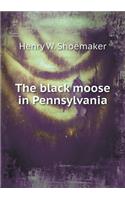The black moose in Pennsylvania