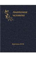 Anatomiya Cheloveka