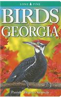 Birds of Georgia