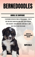 Bernedoodles