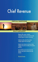 Chief Revenue Critical Questions Skills Assessment