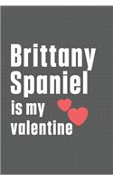 Brittany Spaniel is my valentine: For Brittany Spaniel Dog Fans