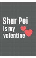 Shar Pei is my valentine: For Shalaika Dog Fans