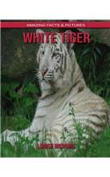 White Tiger