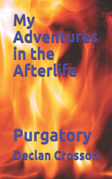 My Adventures in the Afterlife