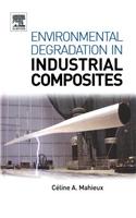 Environmental Degradation of Industrial Composites